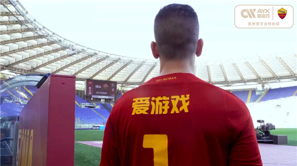 他的组织下